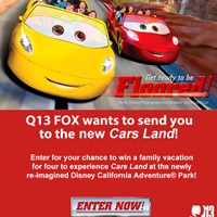 Портфолио Michael McCarthy